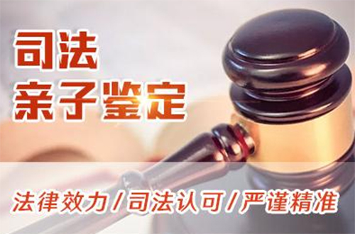 上海司法DNA亲子鉴定怎么做,上海司法DNA鉴定结果需要多久