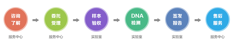 亲子鉴定预约办理